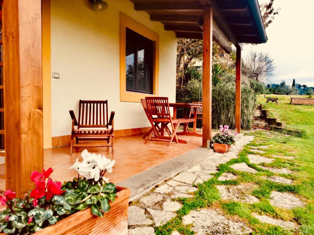 Гостевой дом La Casa Nettarina Poggio Mirteto Экстерьер фото